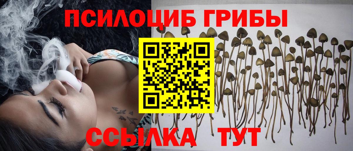 Псилоцибиновые грибы GOLDEN TEACHER  купить наркоту  Сухой Лог  Псилоцибиновые грибы ЛСД  Вход с VPN 